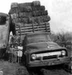 Fred Buhler with hay truck.jpg