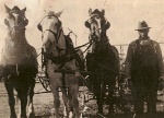 ALMA AND HIS HORSES AND GRAIN BINDER 1945.jpg